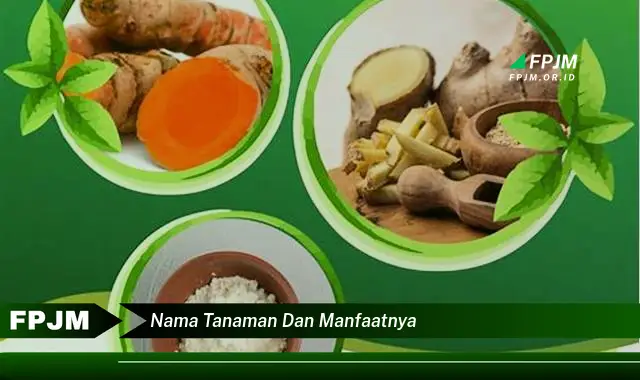 nama tanaman dan manfaatnya nama tanaman dan manfaatnya