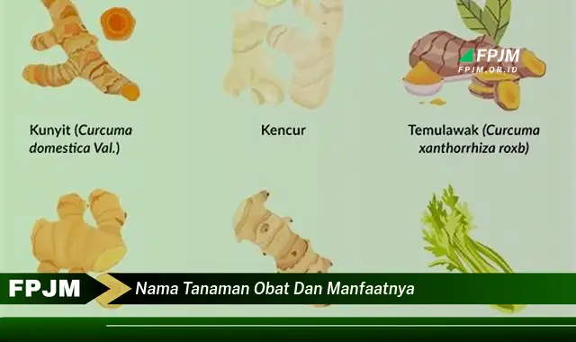 nama tanaman obat dan manfaatnya