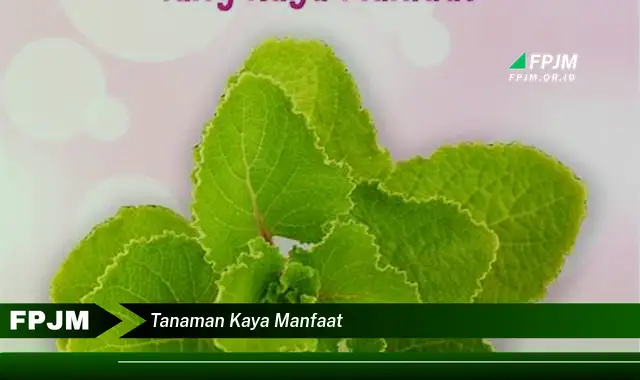 tanaman kaya manfaat