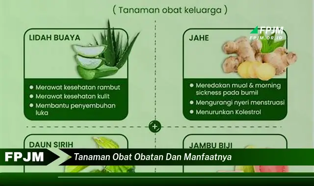 tanaman obat obatan dan manfaatnya