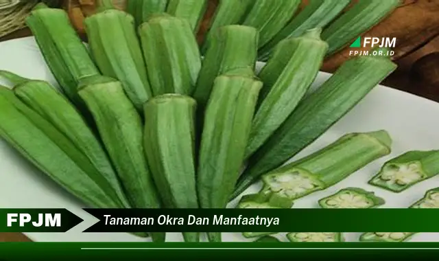 tanaman okra dan manfaatnya
