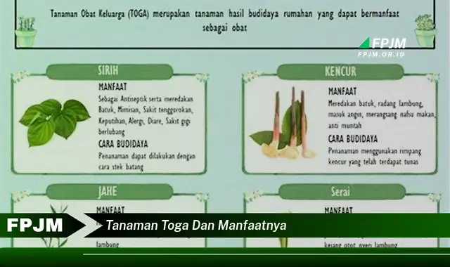 tanaman toga dan manfaatnya