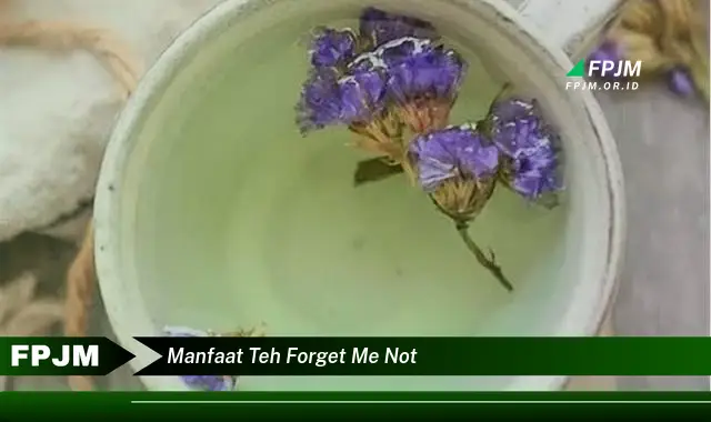 manfaat teh forget me not