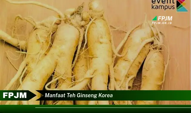 manfaat teh ginseng korea