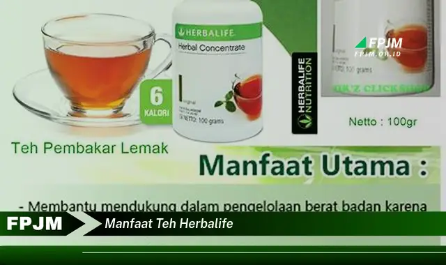 manfaat teh herbalife