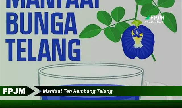 manfaat teh kembang telang