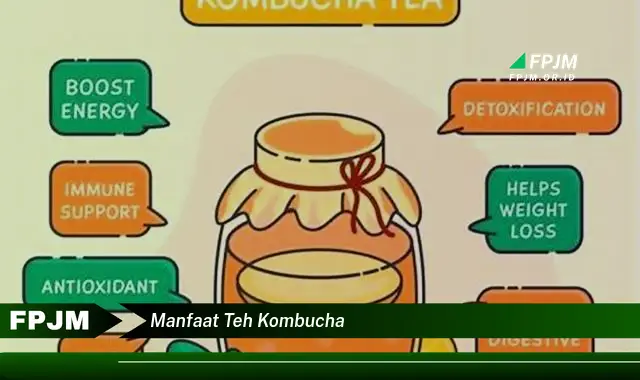 manfaat teh kombucha