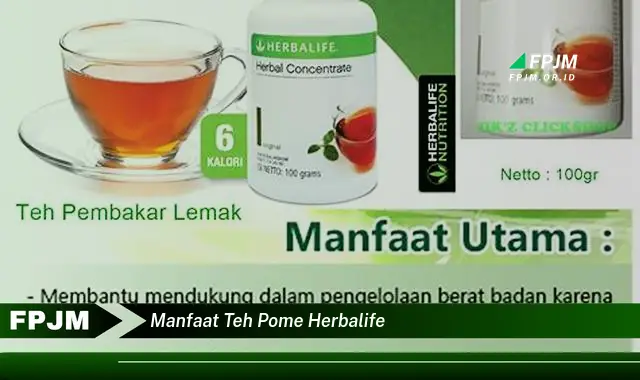 manfaat teh pome herbalife