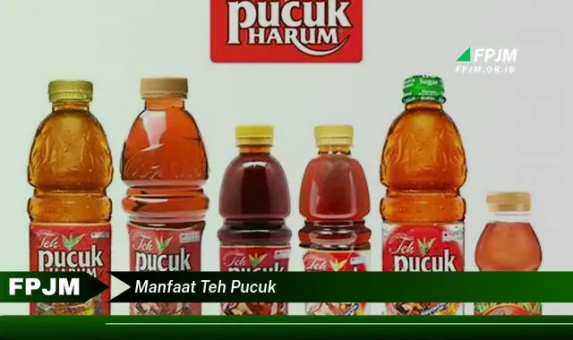 manfaat teh pucuk