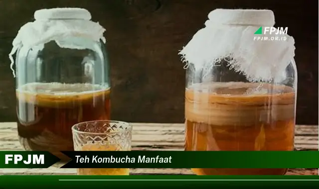 teh kombucha manfaat