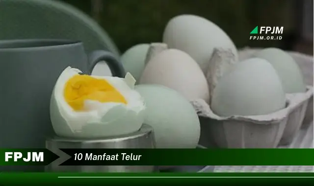 10 manfaat telur