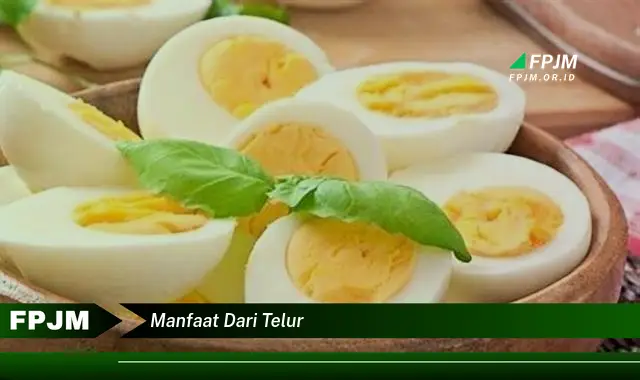 manfaat dari telur manfaat dari telur