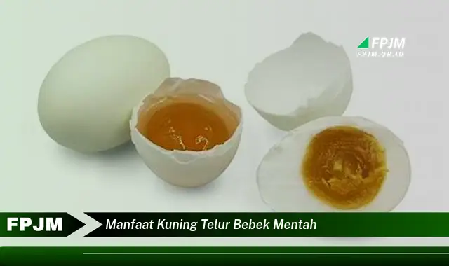 manfaat kuning telur bebek mentah