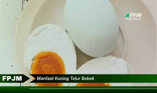 manfaat kuning telur bebek manfaat kuning telur bebek