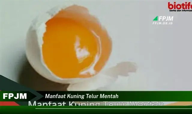 manfaat kuning telur mentah manfaat kuning telur mentah