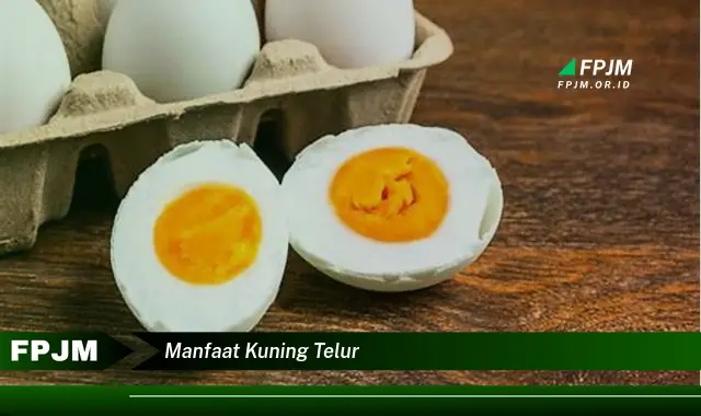 manfaat kuning telur