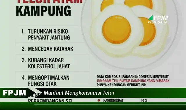 manfaat mengkonsumsi telur