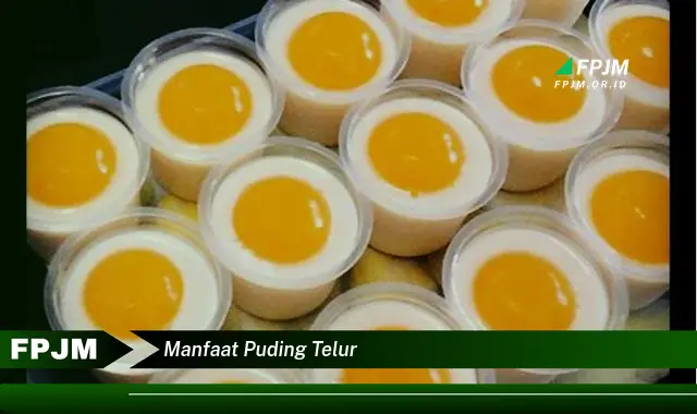 manfaat puding telur