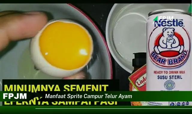 manfaat sprite campur telur ayam