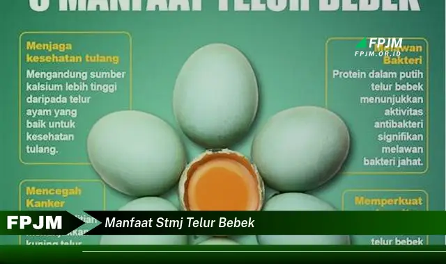 manfaat stmj telur bebek