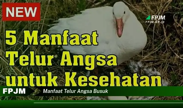 manfaat telur angsa busuk