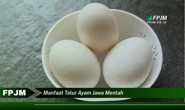 manfaat telur ayam jawa mentah