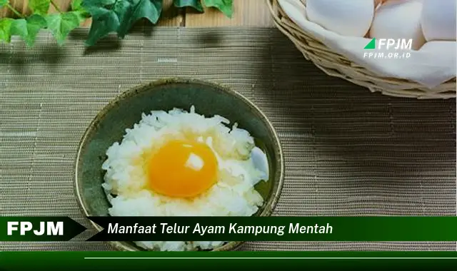 manfaat telur ayam kampung mentah