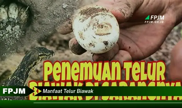 manfaat telur biawak