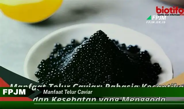 manfaat telur caviar manfaat telur caviar