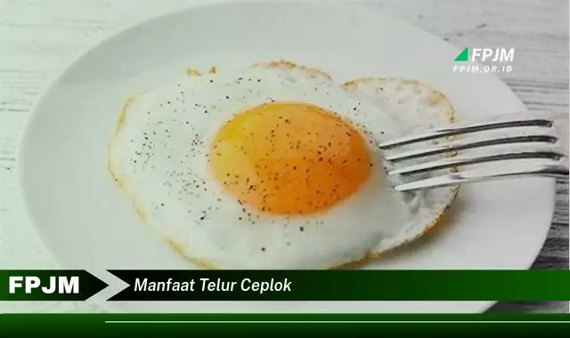 manfaat telur ceplok