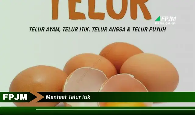 manfaat telur itik manfaat telur itik