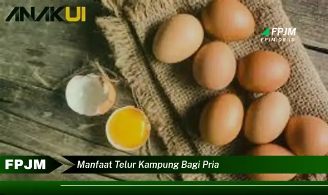 manfaat telur kampung bagi pria