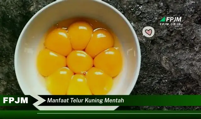 manfaat telur kuning mentah manfaat telur kuning mentah