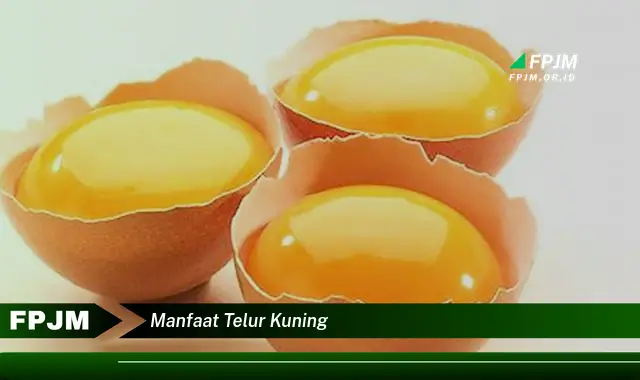 manfaat telur kuning