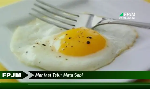 manfaat telur mata sapi manfaat telur mata sapi