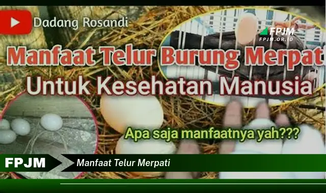 manfaat telur merpati