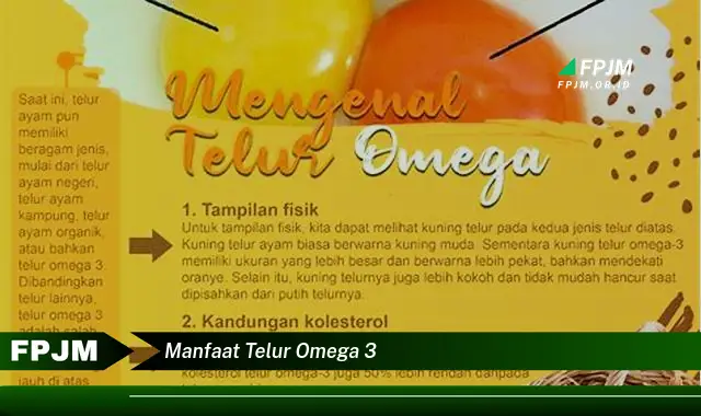 manfaat telur omega 3