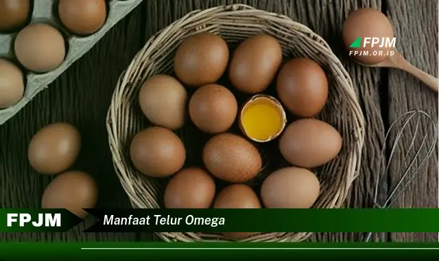manfaat telur omega