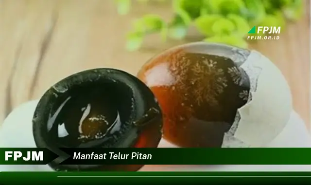 manfaat telur pitan