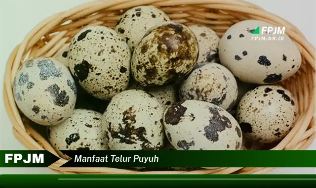 manfaat telur puyuh
