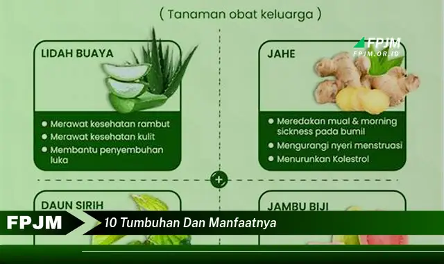 10 tumbuhan dan manfaatnya