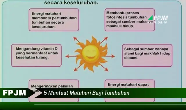 5 manfaat matahari bagi tumbuhan