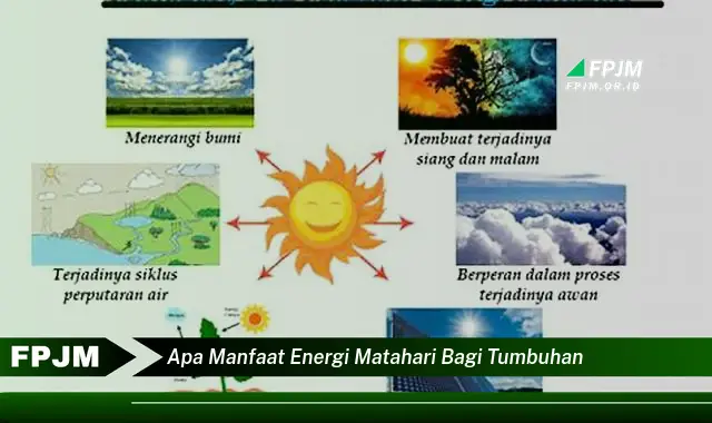 apa manfaat energi matahari bagi tumbuhan