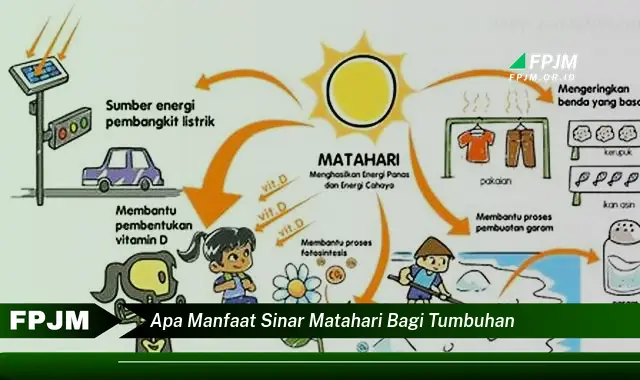 apa manfaat sinar matahari bagi tumbuhan