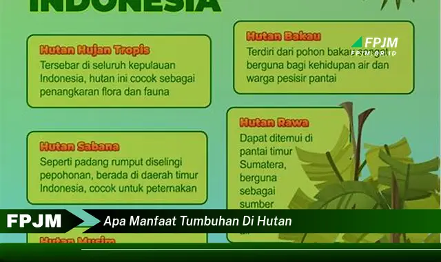 apa manfaat tumbuhan di hutan