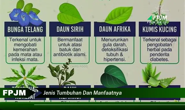 jenis tumbuhan dan manfaatnya jenis tumbuhan dan manfaatnya