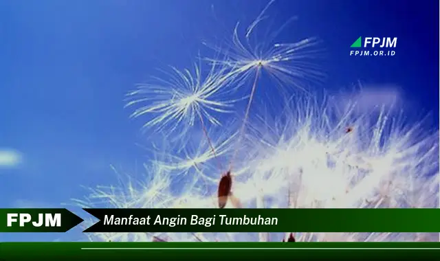 manfaat angin bagi tumbuhan