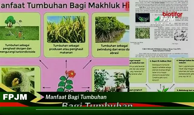 manfaat bagi tumbuhan