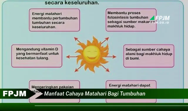 manfaat cahaya matahari bagi tumbuhan