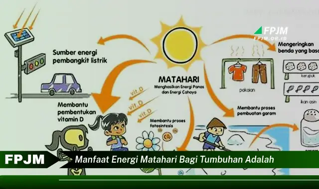 manfaat energi matahari bagi tumbuhan adalah